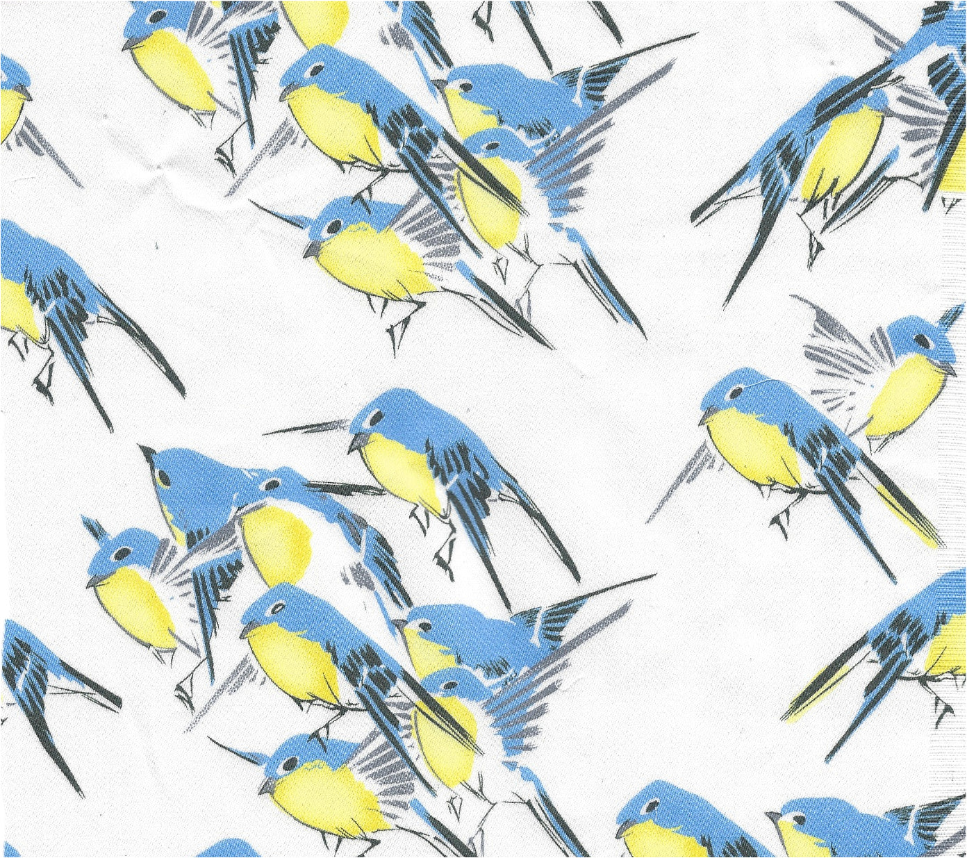 SP23-121 Elizabeth Blouse