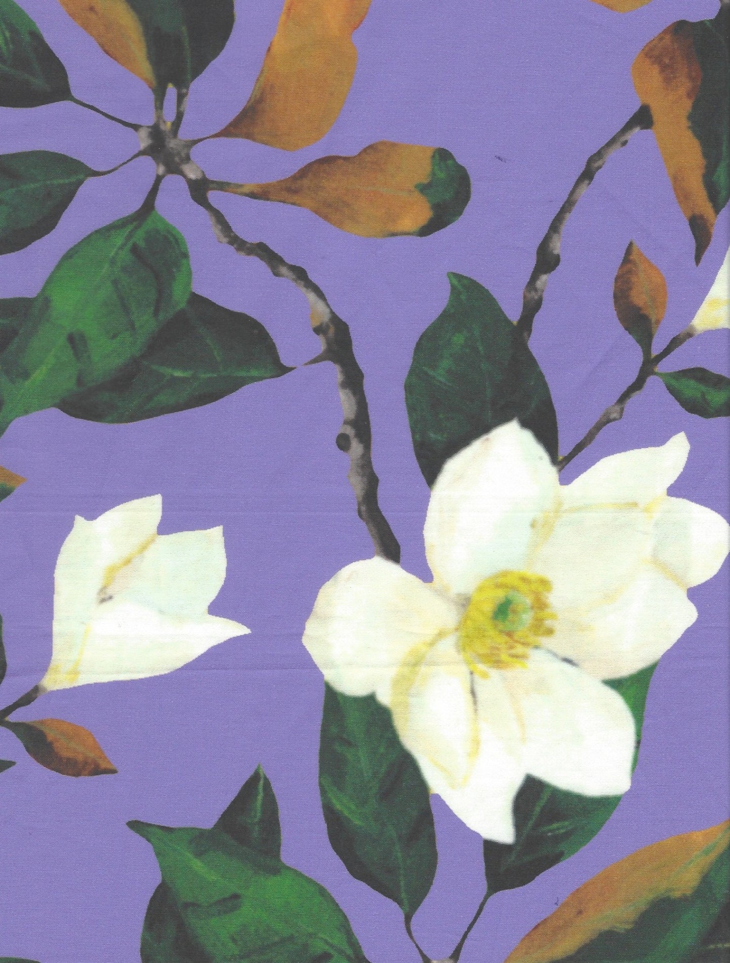 Elizabeth Blouse 26" II