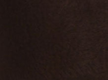 Crop Pamela