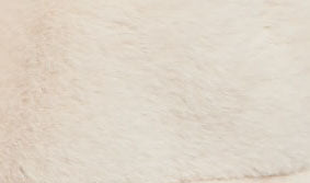 Crop Pamela