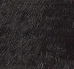 Pamela New Mink